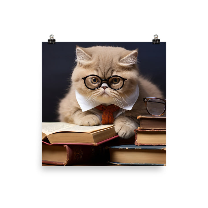 Exotic Shorthair Student Photo paper poster - PosterfyAI.com