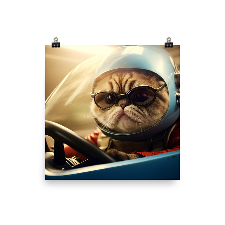 Exotic Shorthair Motorsport Athlete Photo paper poster - PosterfyAI.com