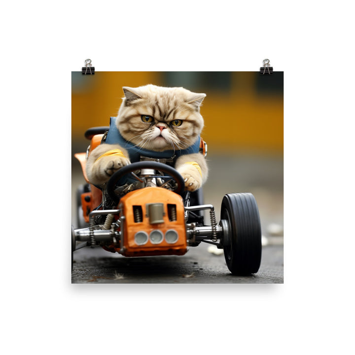 Exotic Shorthair Motorsport Athlete Photo paper poster - PosterfyAI.com