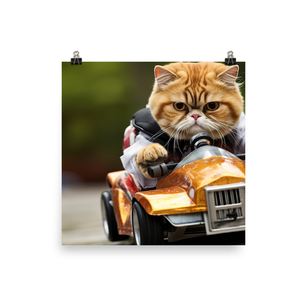 Exotic Shorthair Motorsport Athlete Photo paper poster - PosterfyAI.com