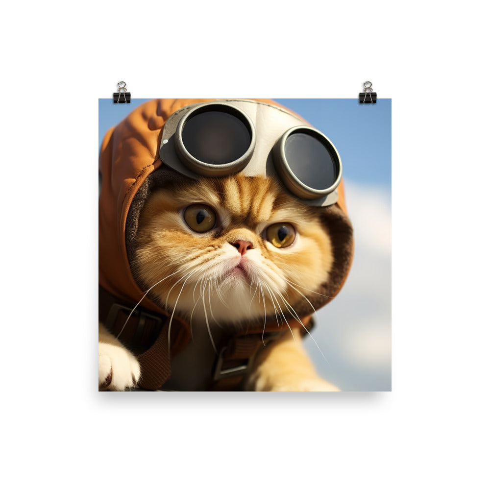 Exotic Shorthair Pilot Photo paper poster - PosterfyAI.com