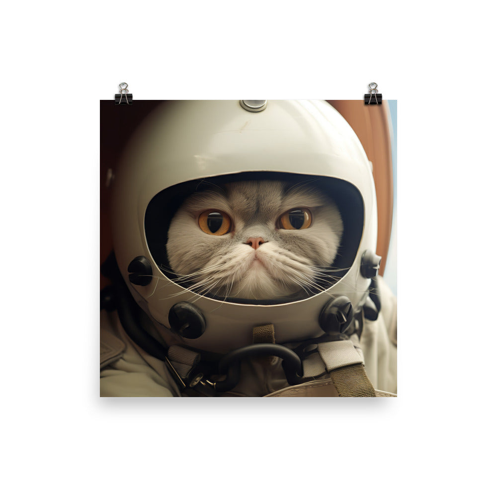 Exotic Shorthair Pilot Photo paper poster - PosterfyAI.com