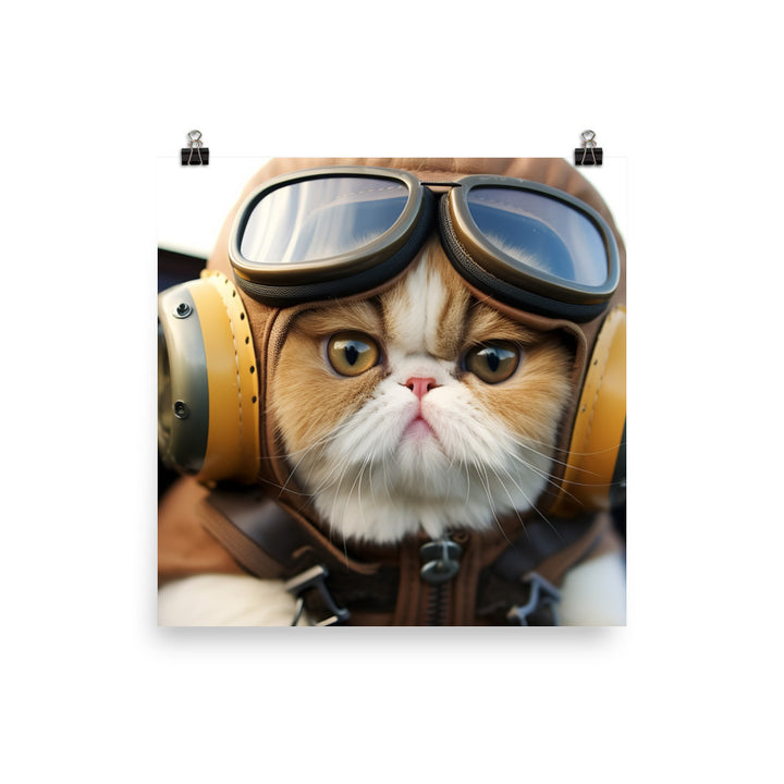 Exotic Shorthair Pilot Photo paper poster - PosterfyAI.com