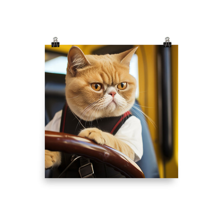 Exotic Shorthair Transit Operator Photo paper poster - PosterfyAI.com