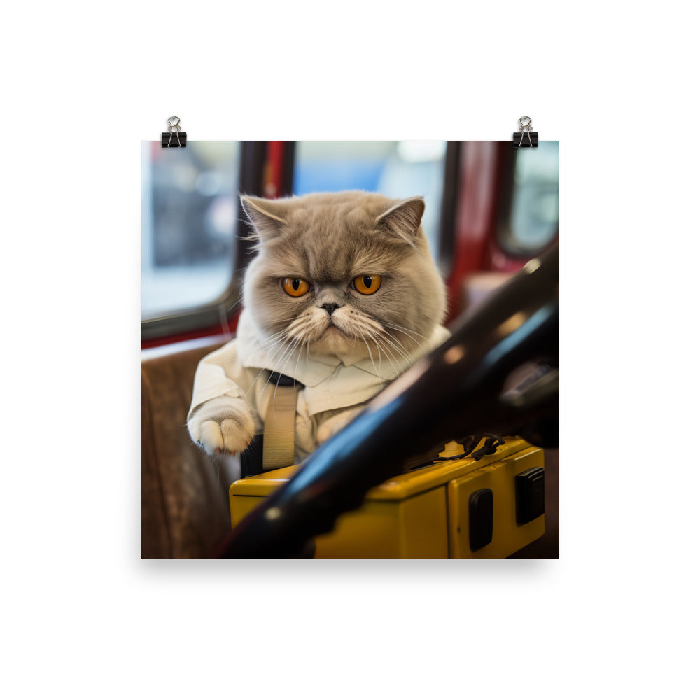 Exotic Shorthair Transit Operator Photo paper poster - PosterfyAI.com