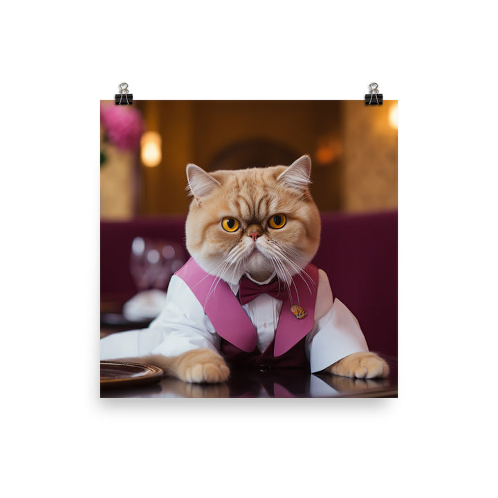 Exotic Shorthair Hotel Staff Photo paper poster - PosterfyAI.com