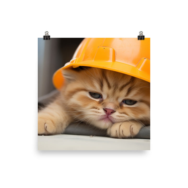 Exotic Shorthair Contractor Photo paper poster - PosterfyAI.com