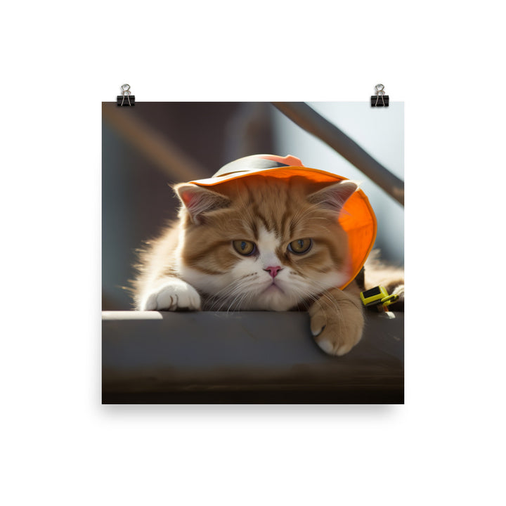 Exotic Shorthair Contractor Photo paper poster - PosterfyAI.com