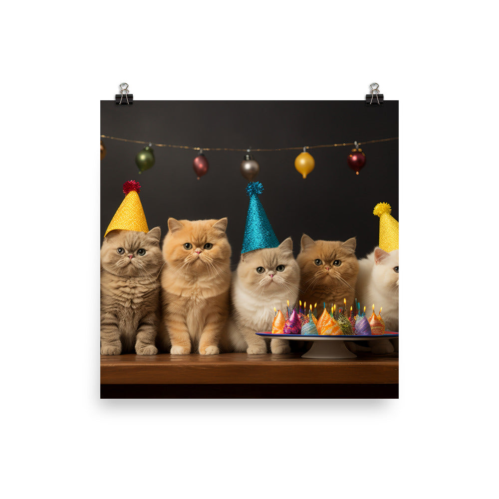 Exotic Shorthair Photo paper poster - PosterfyAI.com