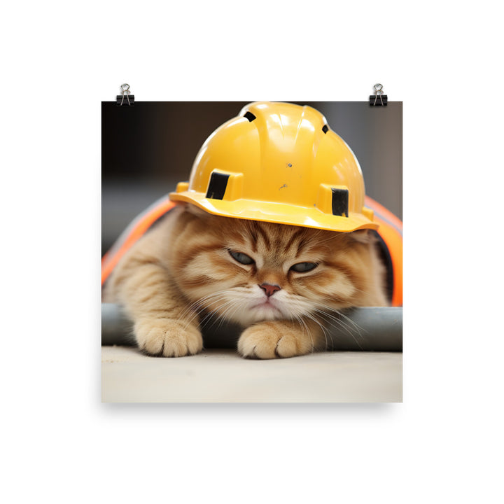 Exotic Shorthair Contractor Photo paper poster - PosterfyAI.com