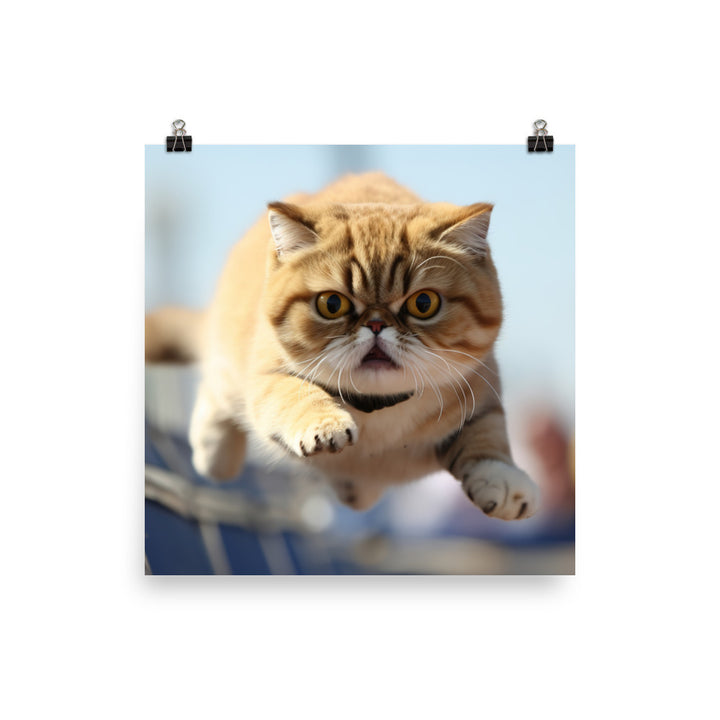 Exotic Shorthair Photo paper poster - PosterfyAI.com