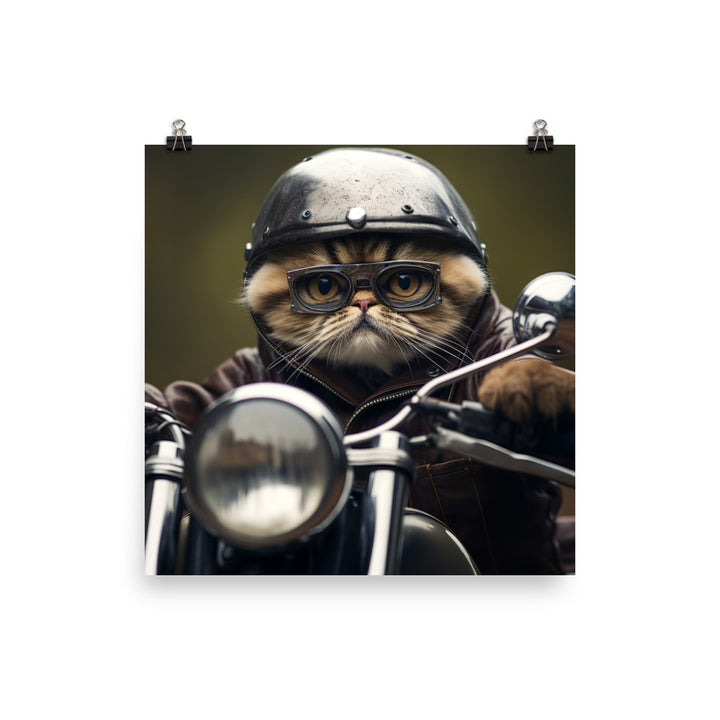 Exotic Shorthair Superbike Athlete paper poster - PosterfyAI.com