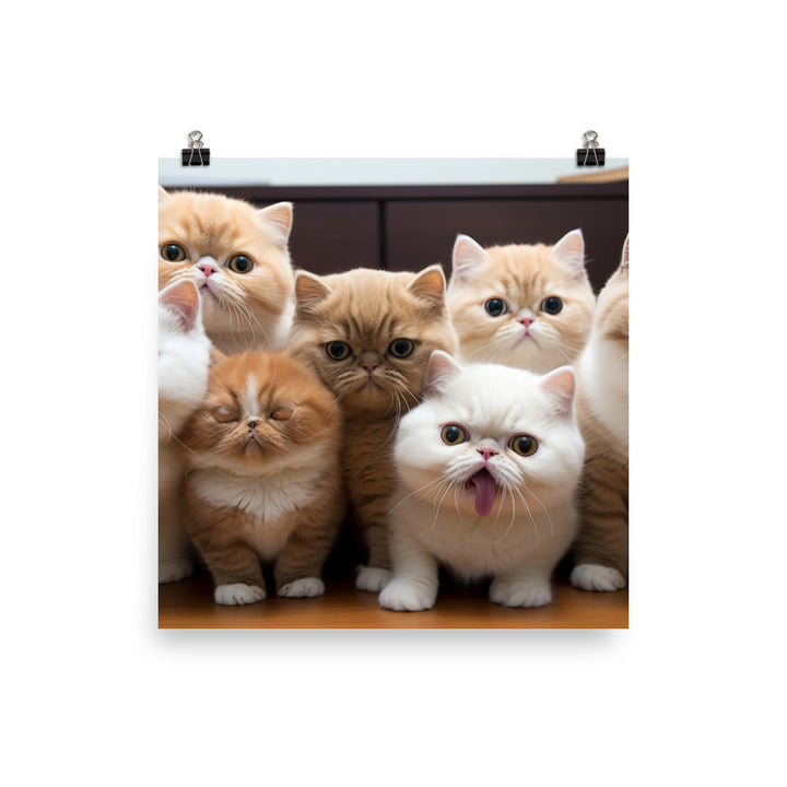 Exotic Shorthair Photo paper poster - PosterfyAI.com