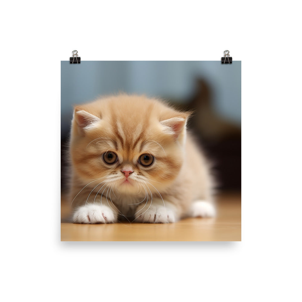 Exotic Shorthair Photo paper poster - PosterfyAI.com