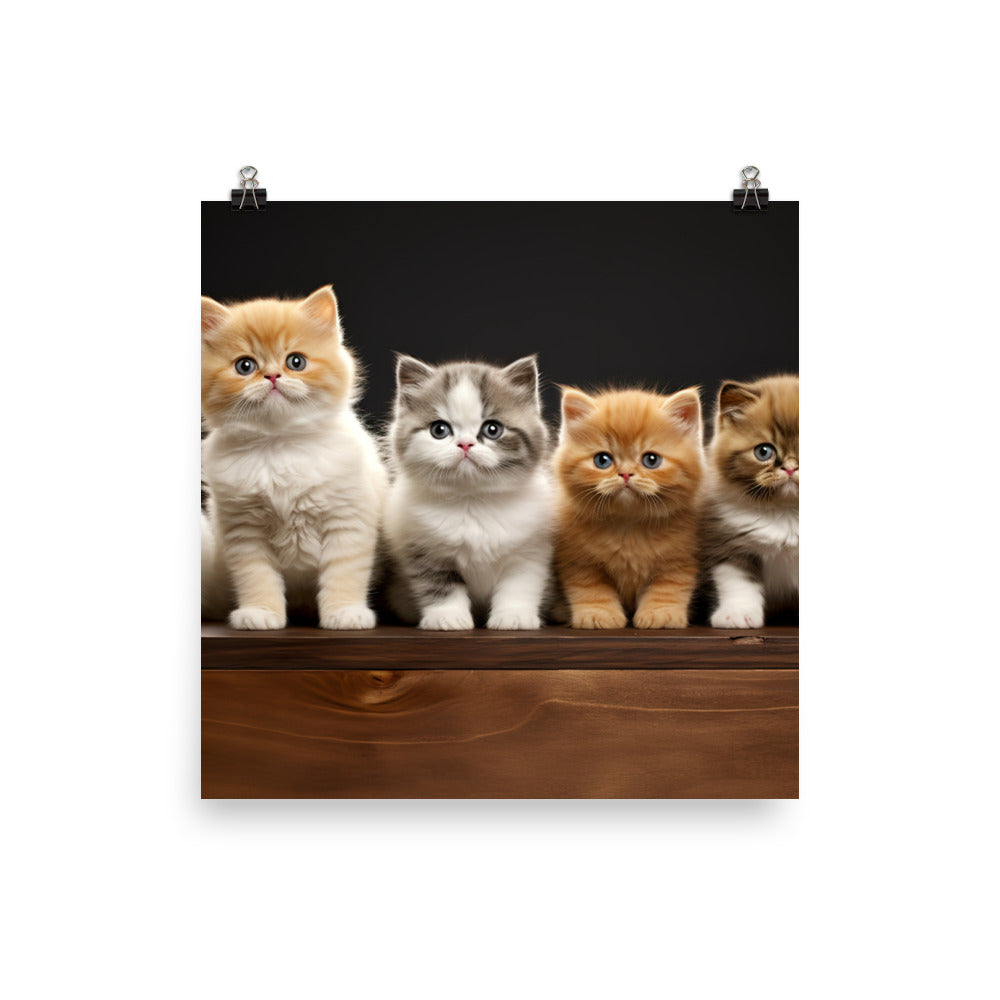 Exotic Shorthair Photo paper poster - PosterfyAI.com