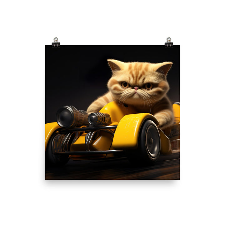 Exotic Shorthair Motorsport Athlete Photo paper poster - PosterfyAI.com