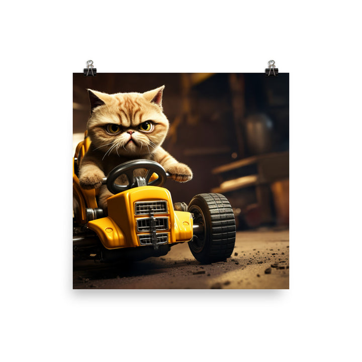 Exotic Shorthair Motorsport Athlete Photo paper poster - PosterfyAI.com