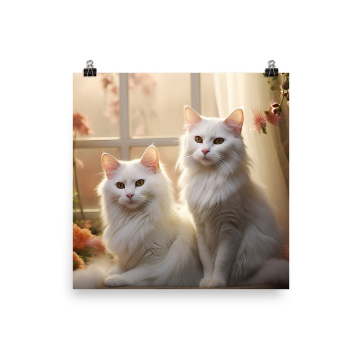 Turkish Van Photo paper poster - PosterfyAI.com