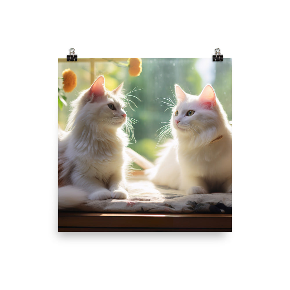 Turkish Van Photo paper poster - PosterfyAI.com