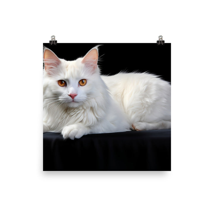 Turkish Van Photo paper poster - PosterfyAI.com