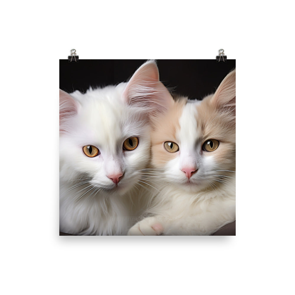 Turkish Van Photo paper poster - PosterfyAI.com