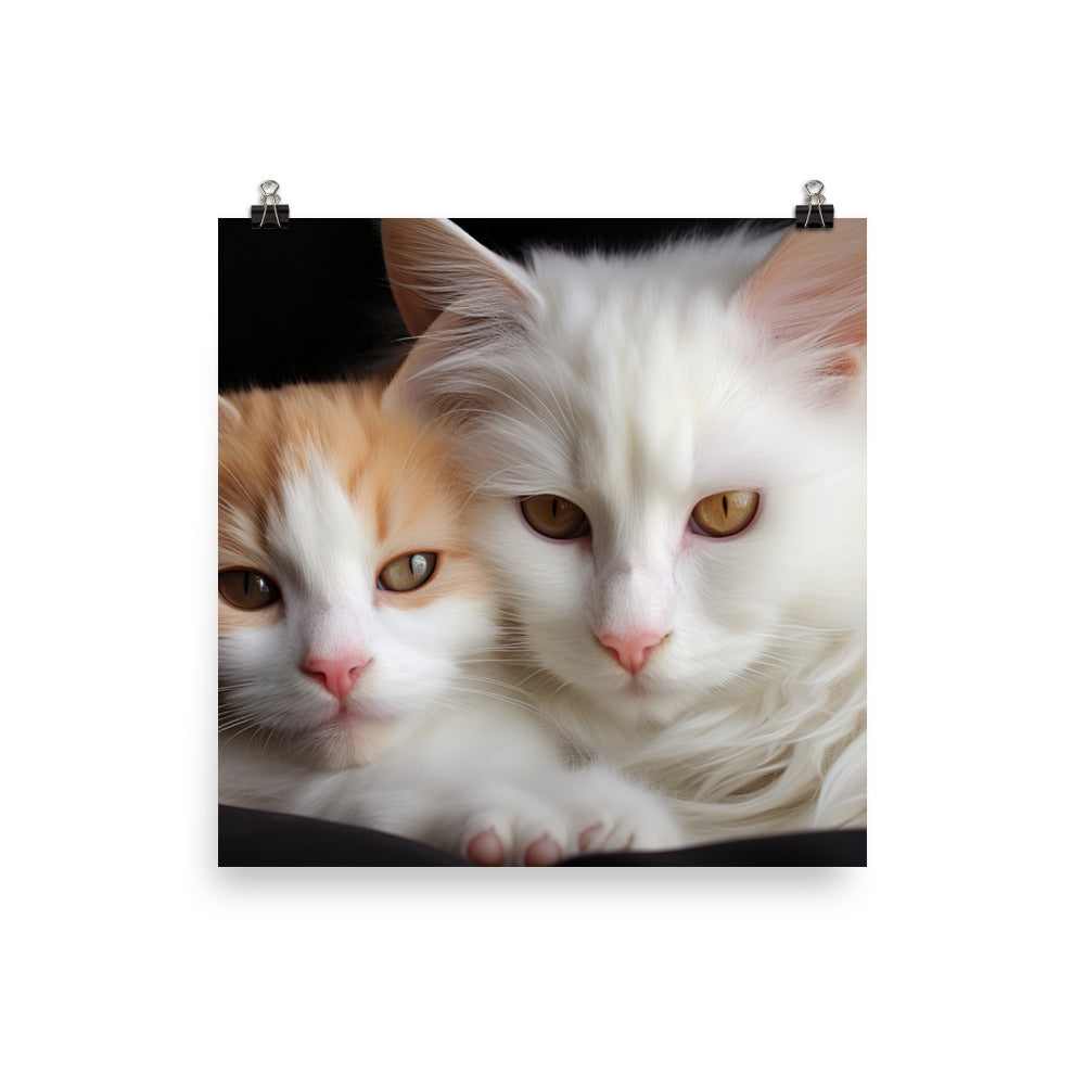 Turkish Van Photo paper poster - PosterfyAI.com