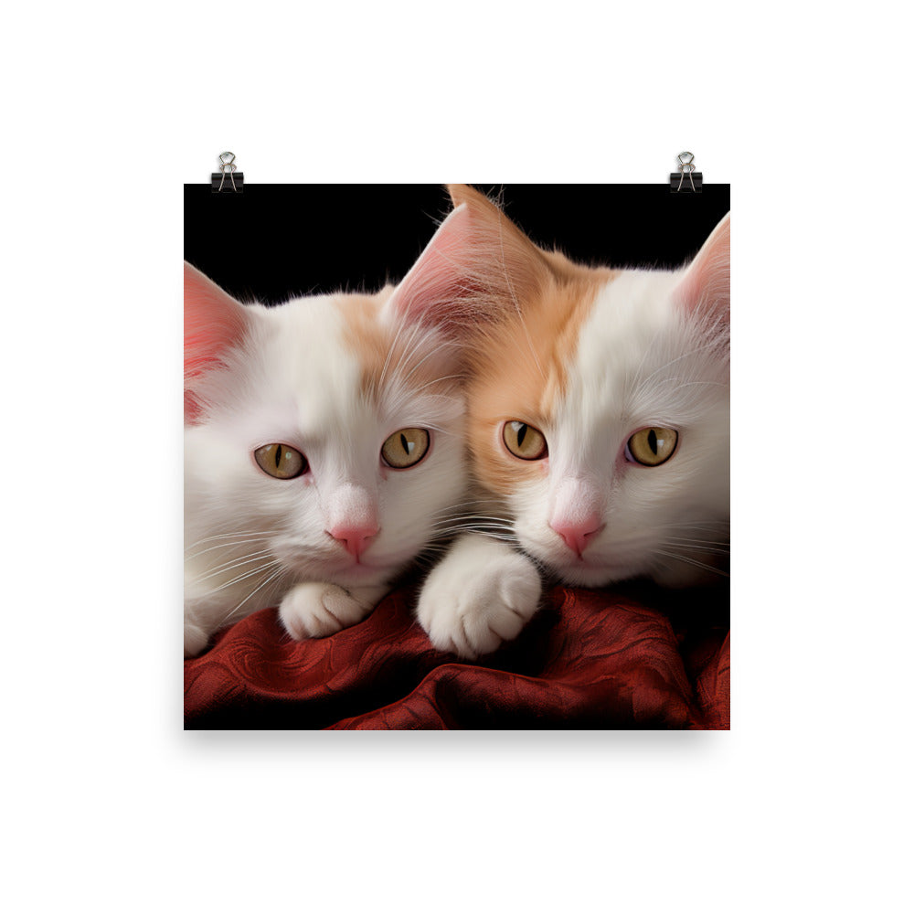 Turkish Van Photo paper poster - PosterfyAI.com