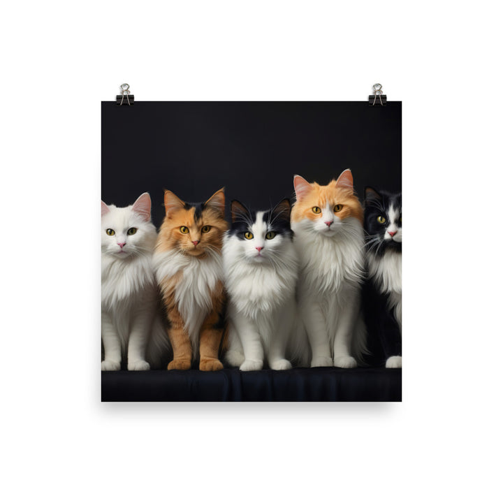 Turkish Van Photo paper poster - PosterfyAI.com