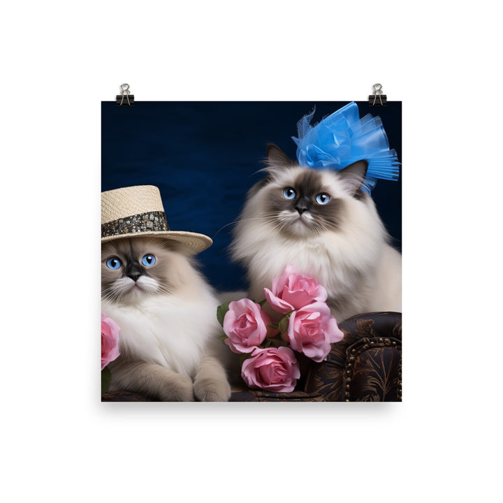 Ragdoll Photo paper poster - PosterfyAI.com