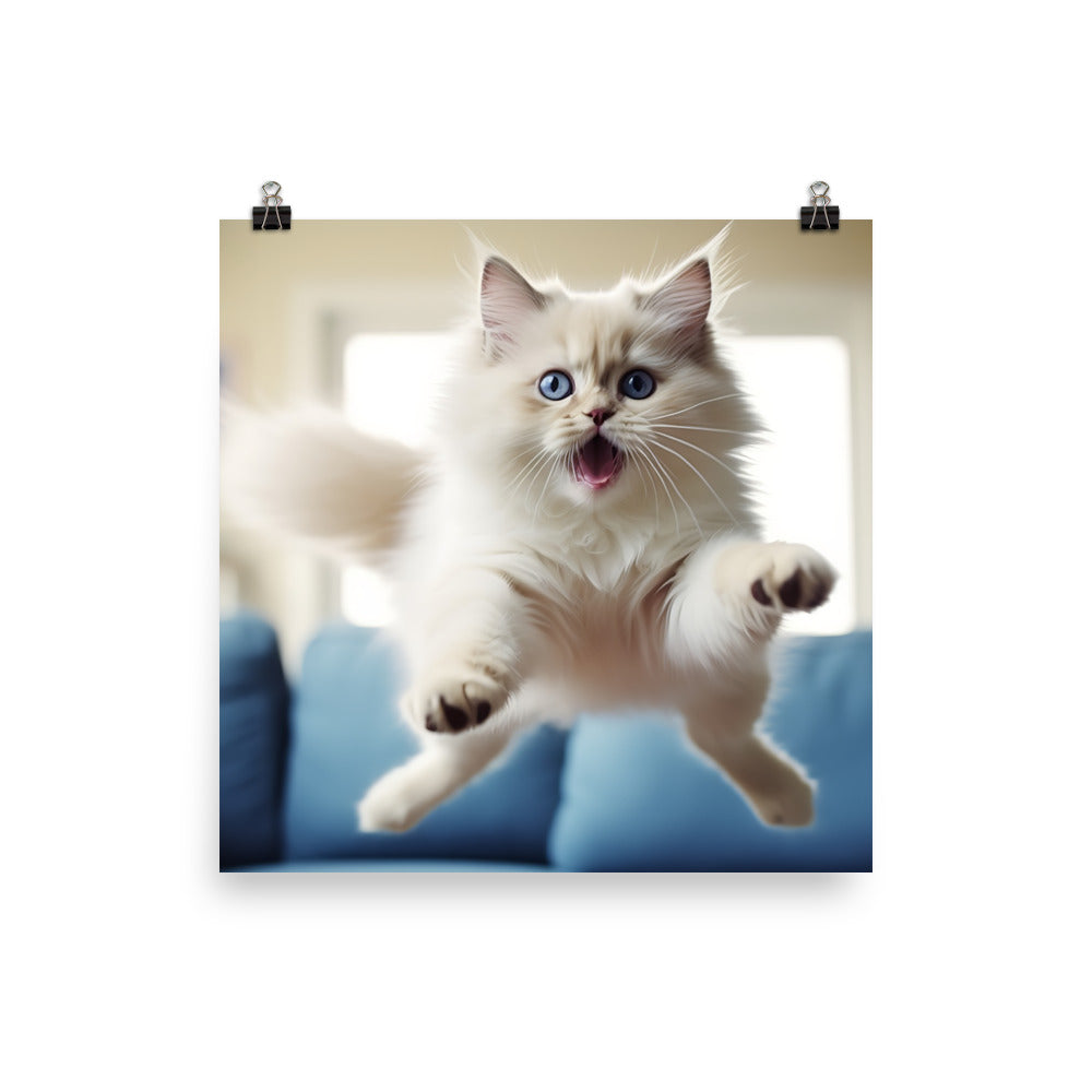 Ragdoll Photo paper poster - PosterfyAI.com