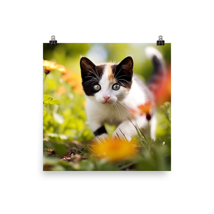 Japanese Bobtail Photo paper poster - PosterfyAI.com