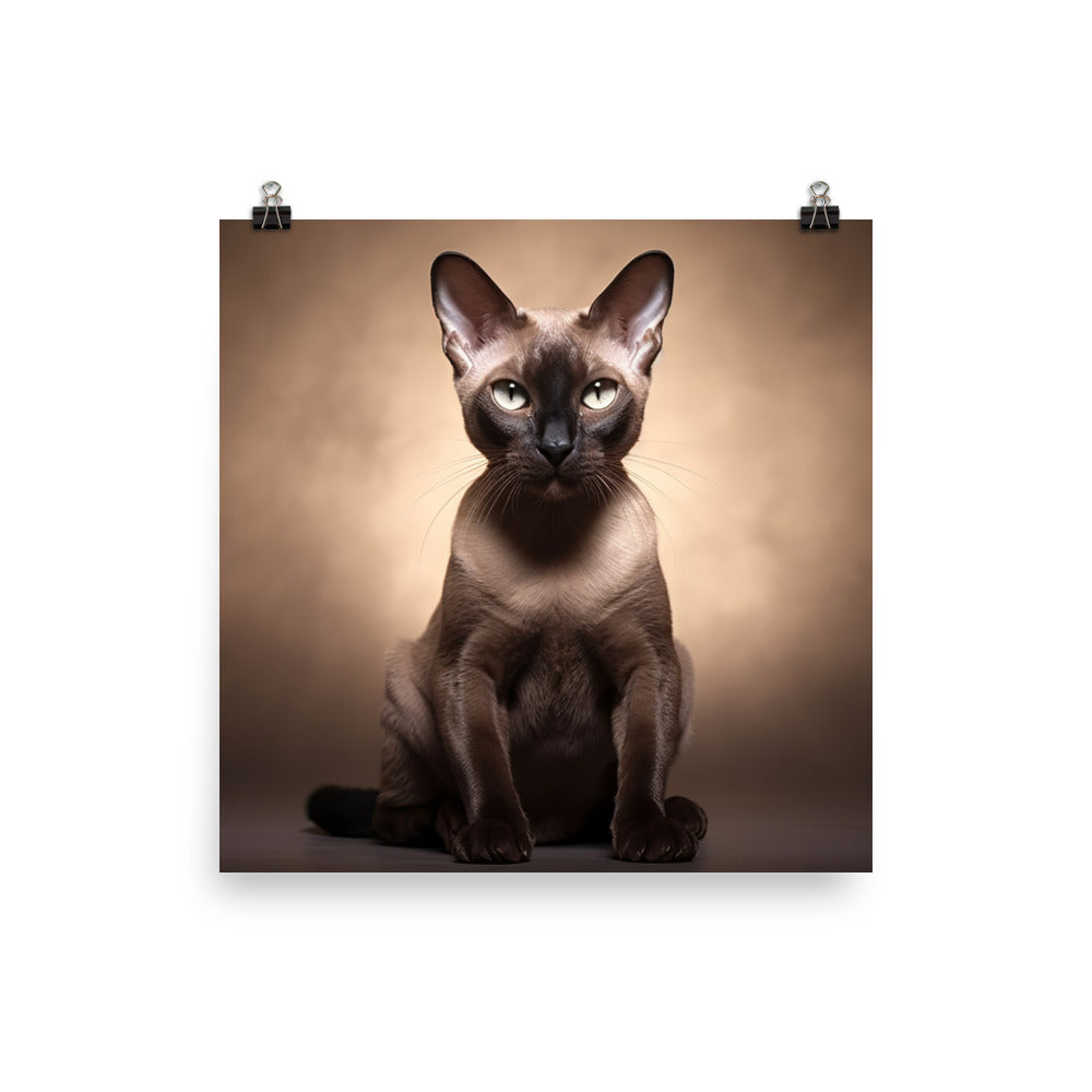 Tonkinese Photo paper poster - PosterfyAI.com