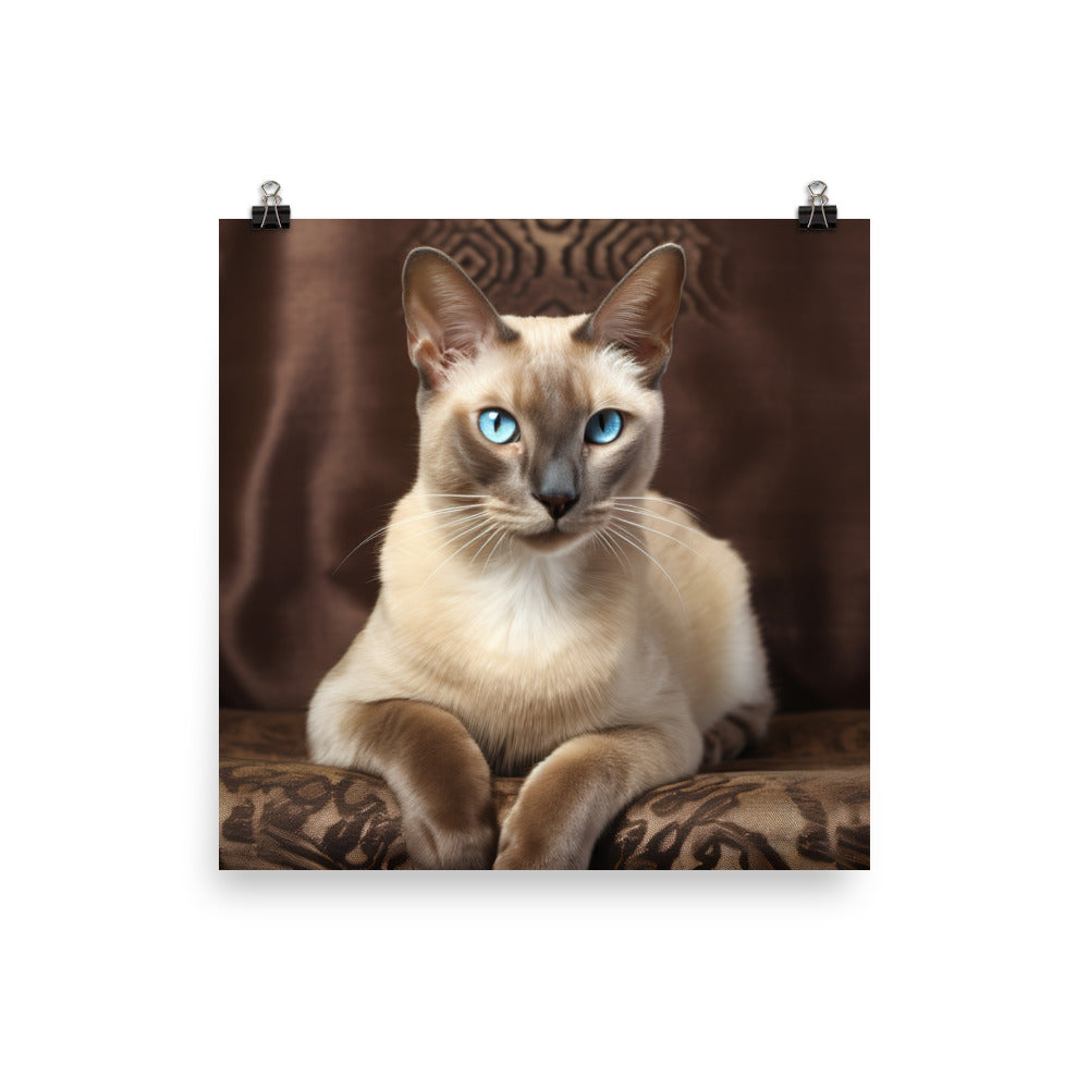 Tonkinese Photo paper poster - PosterfyAI.com