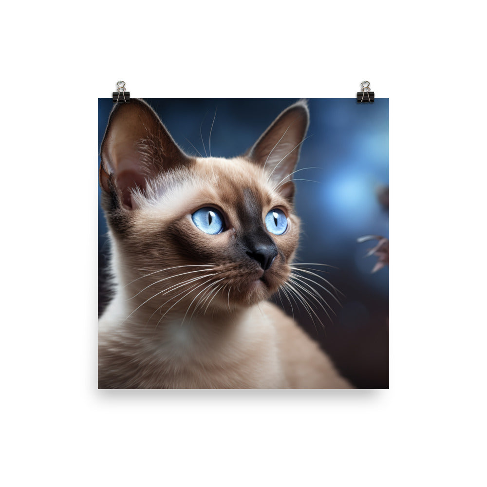 Tonkinese Photo paper poster - PosterfyAI.com