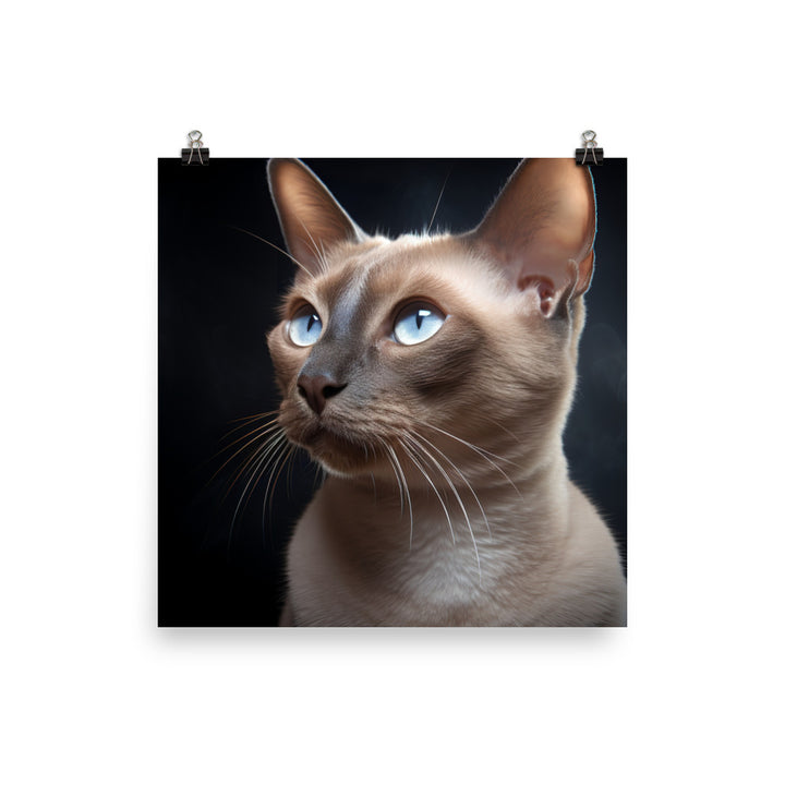 Tonkinese Photo paper poster - PosterfyAI.com