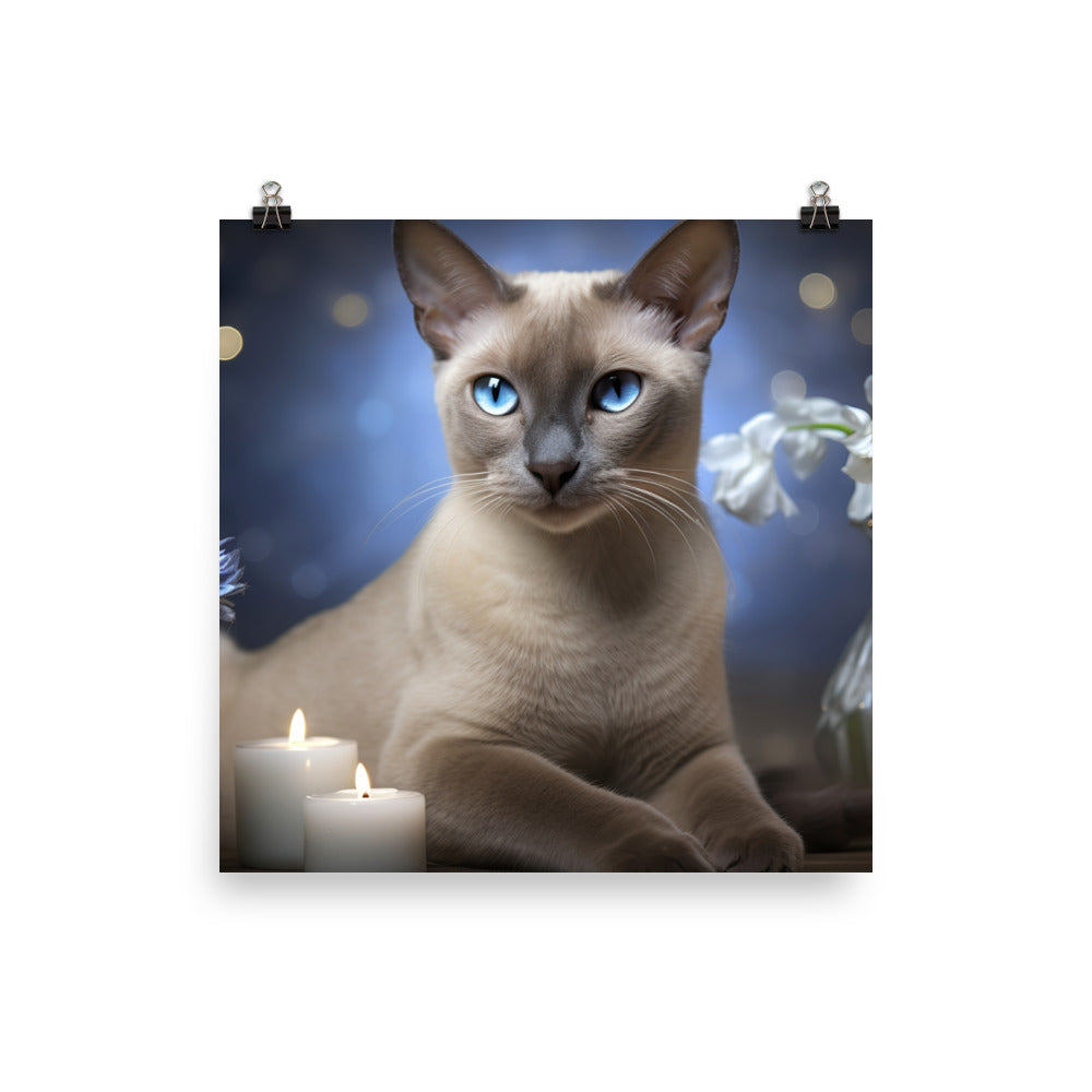 Tonkinese Photo paper poster - PosterfyAI.com