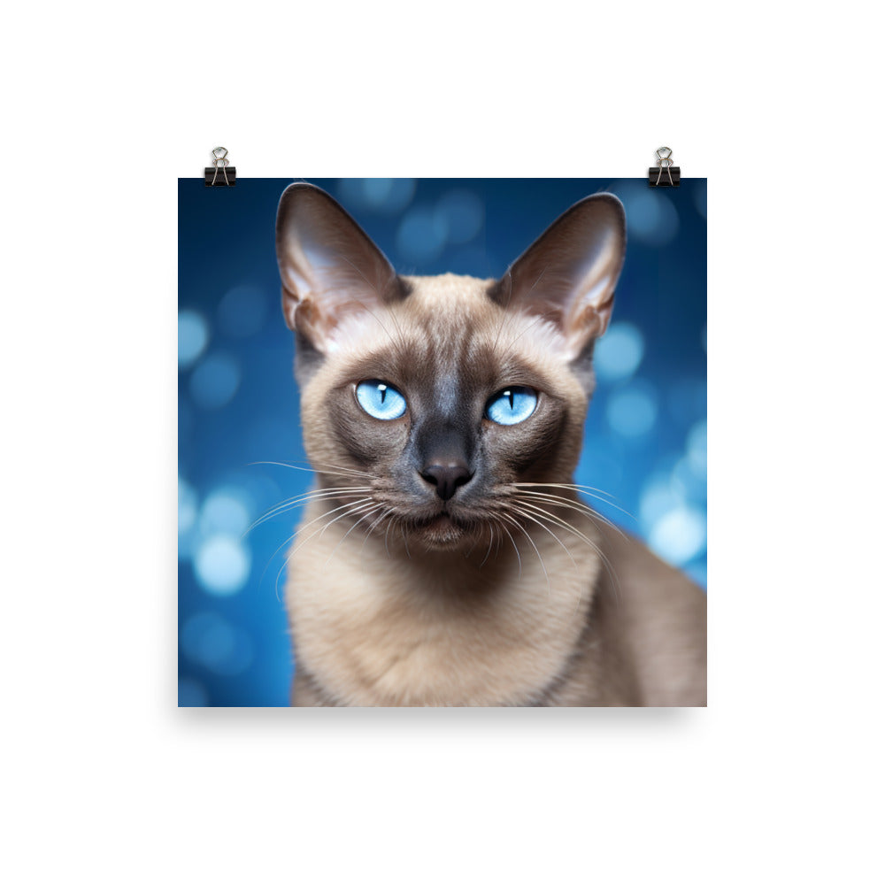 Tonkinese Photo paper poster - PosterfyAI.com