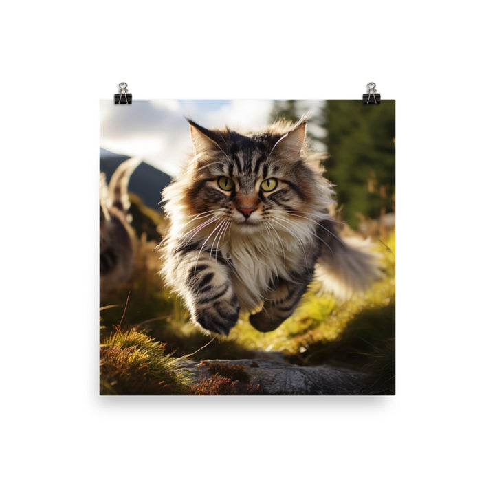 Norwegian Forest Photo paper poster - PosterfyAI.com