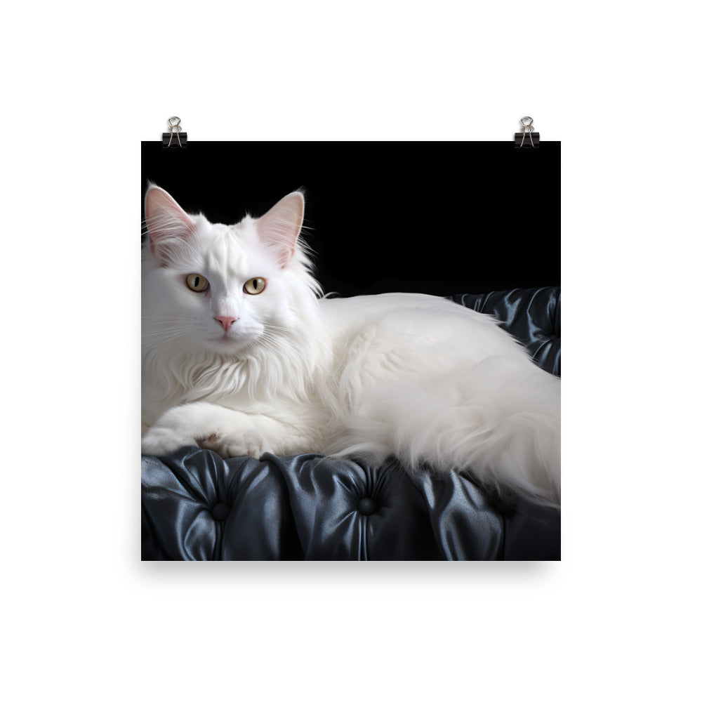 Turkish Angora Photo paper poster - PosterfyAI.com