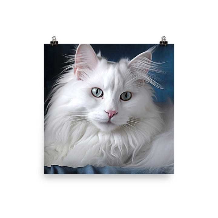 Turkish Angora Photo paper poster - PosterfyAI.com