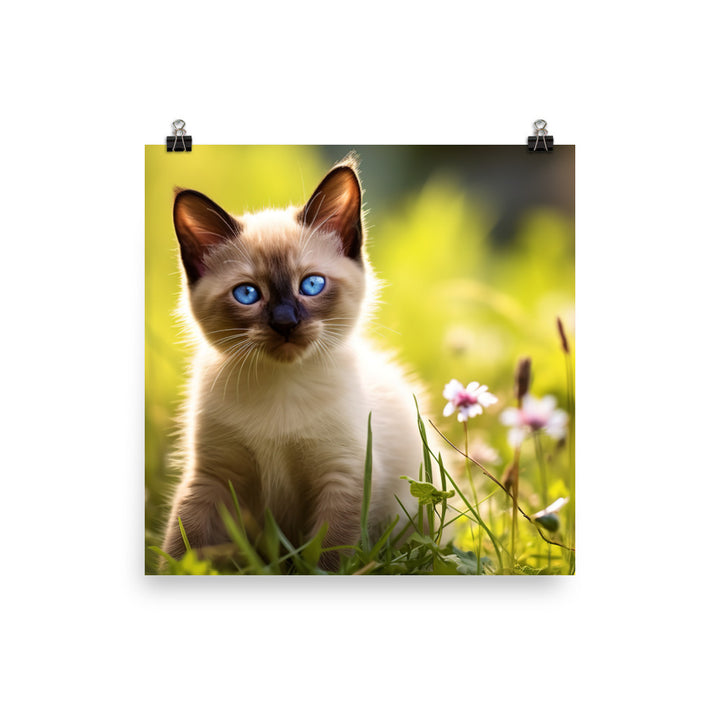 Siamese Photo paper poster - PosterfyAI.com