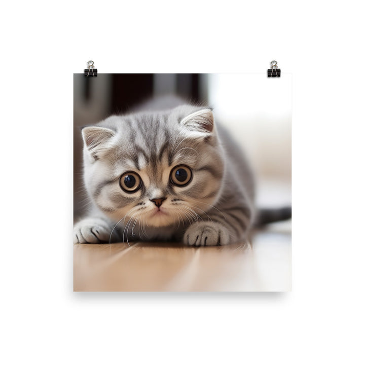 Scottish Fold Photo paper poster - PosterfyAI.com