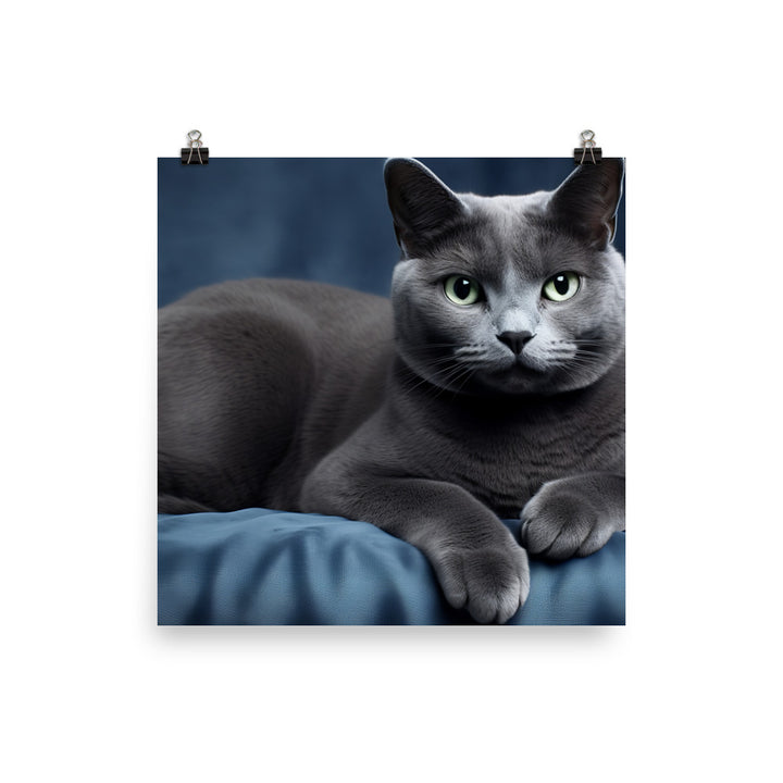 Russian Blue Photo paper poster - PosterfyAI.com