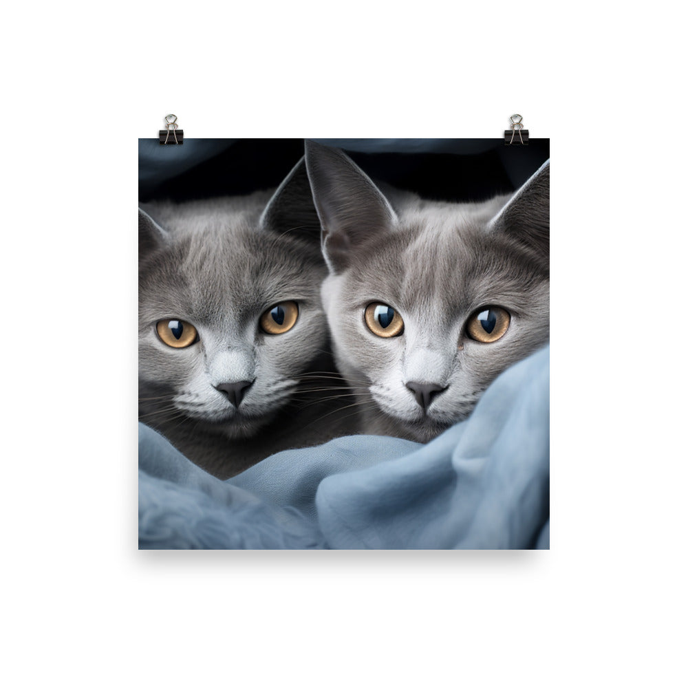 Russian Blue Photo paper poster - PosterfyAI.com