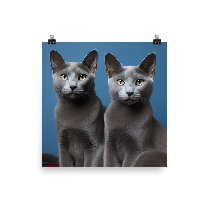 Russian Blue Photo paper poster - PosterfyAI.com