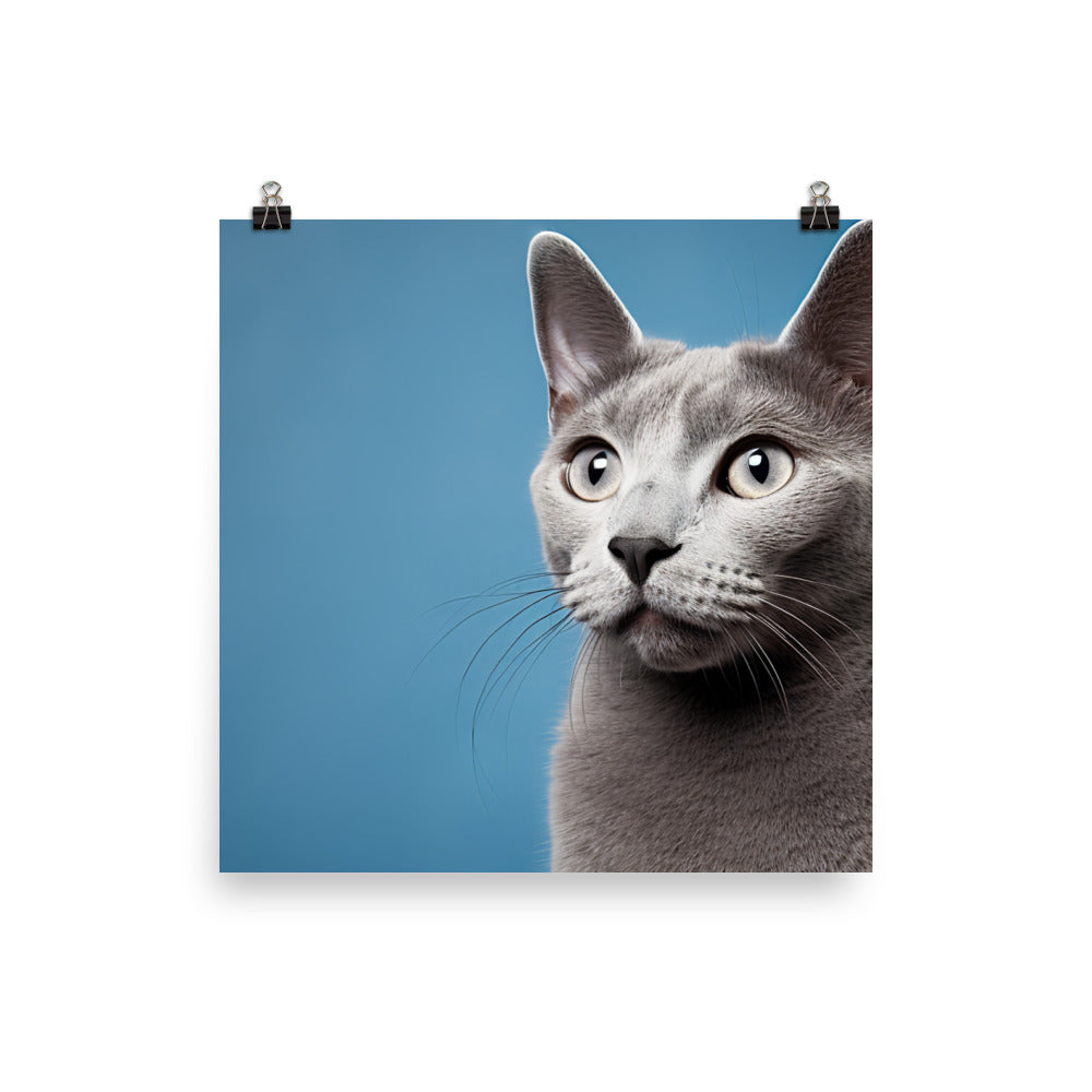 Russian Blue photo paper poster - PosterfyAI.com