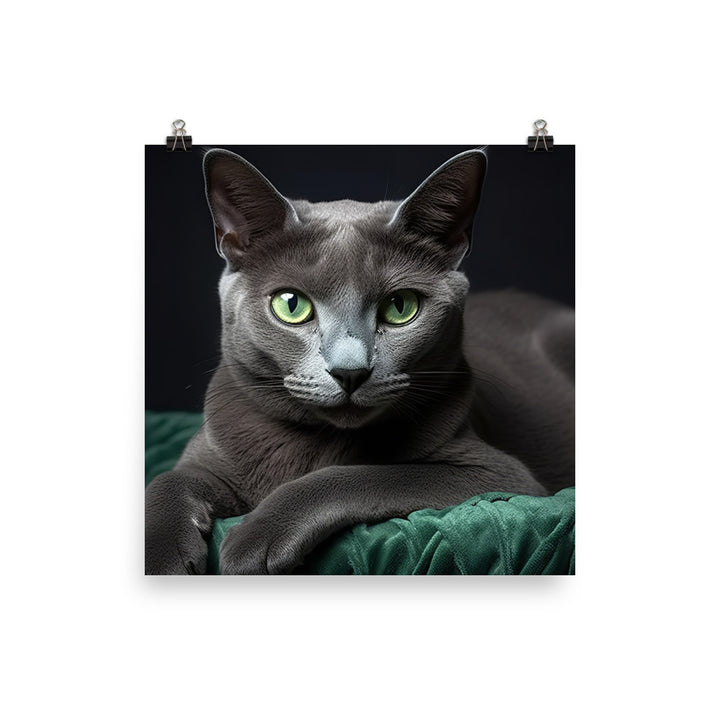 Russian Blue Photo paper poster - PosterfyAI.com