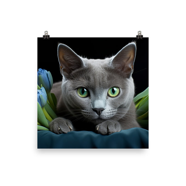 Russian Blue Photo paper poster - PosterfyAI.com