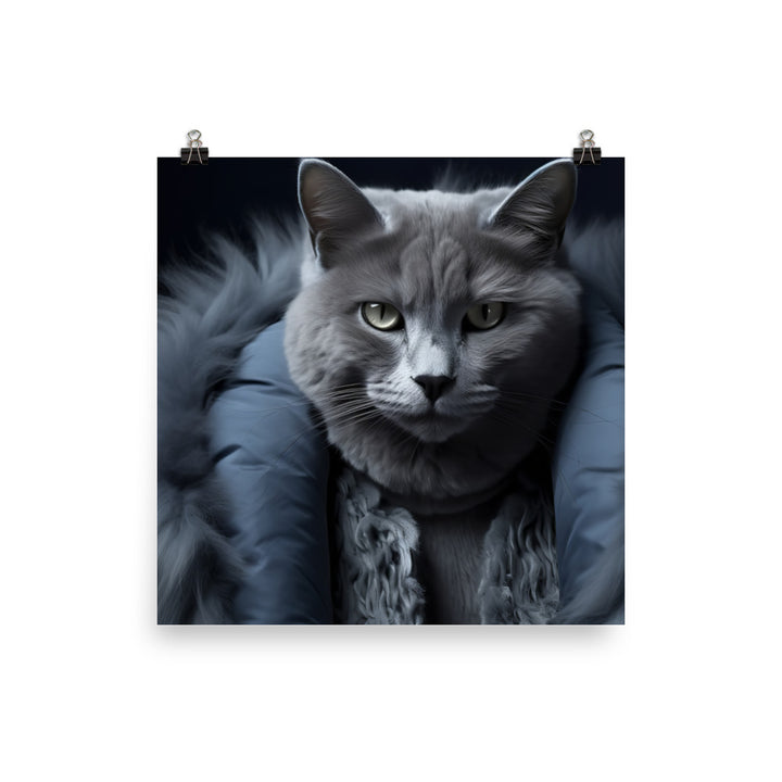 Russian Blue Photo paper poster - PosterfyAI.com