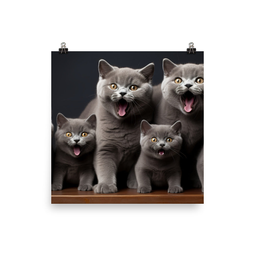 British Shorthair Photo paper poster - PosterfyAI.com